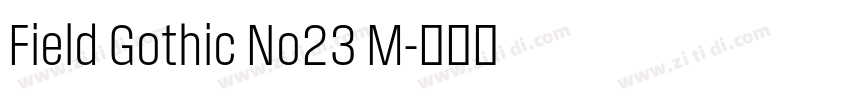 Field Gothic No23 M字体转换